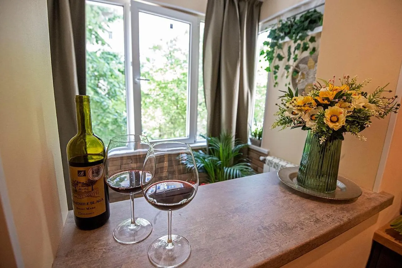 Awesome Apartment Bucureşti
